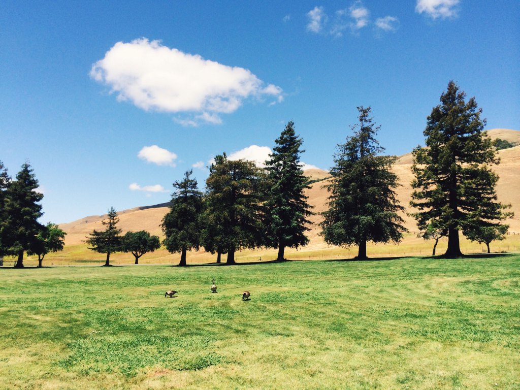 20140518-170358-61438248