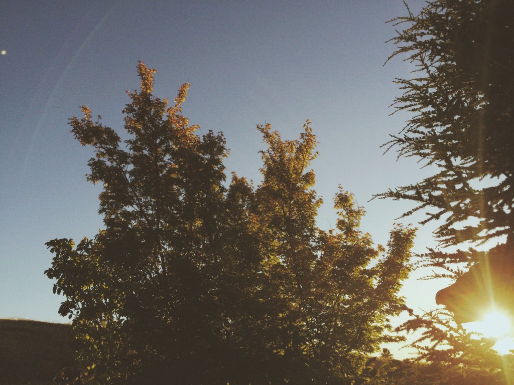 20140619-202634-73594098